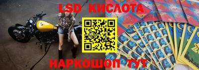 мет Кингисепп