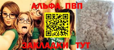 мет Кингисепп