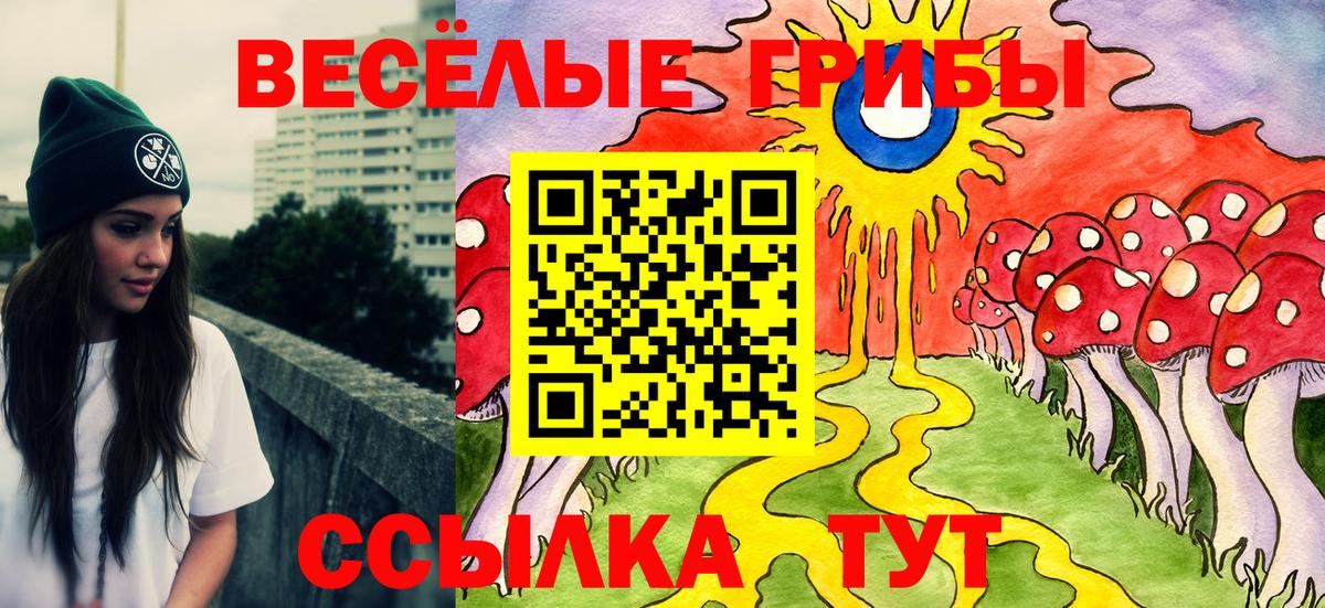 где найти наркотики  Вход с VPN  Жигулёвск  Псилоцибиновые грибы Psilocybine cubensis 
